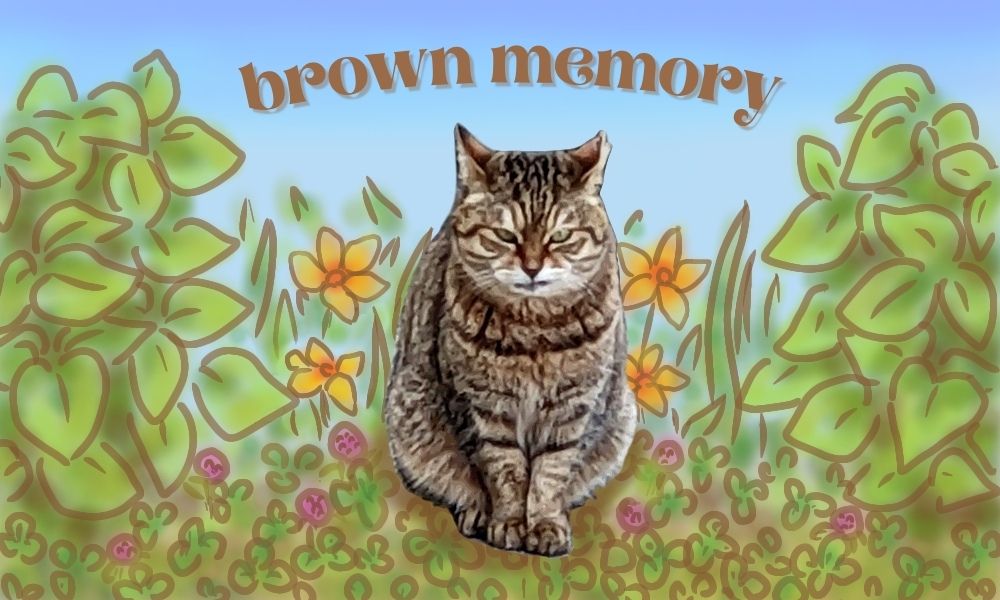 brown memory