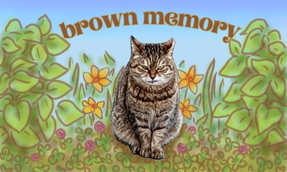 brown memory(ブラウンメモリー)