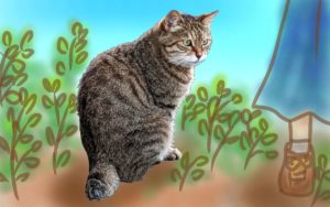 足元に寄り添うキジ猫なこ（キジトラ）/ Nako the brown tabby cat sitting at my feet.