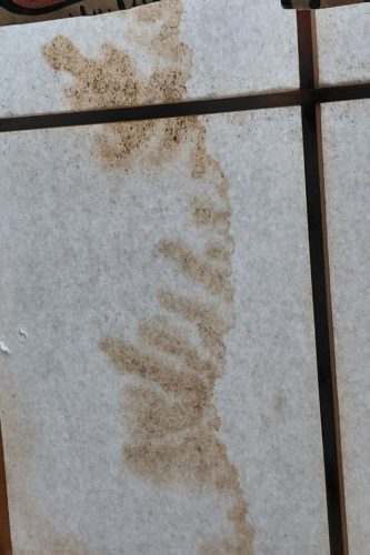 stain that looks like Nako２