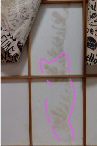 stain that looks like Nako３